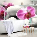 SELF ADHESIVE WALL MURAL ORCHID FLOWERS ON STONES - SELF-ADHESIVE WALLPAPERS - WALLPAPERS