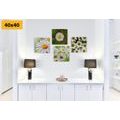 CANVAS PRINT SET MAGICAL FLOWERS - SET OF PICTURES - PICTURES