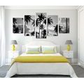 5-PIECE CANVAS PRINT COCONUT TREES ON A BEACH IN BLACK AND WHITE - BLACK AND WHITE PICTURES - PICTURES