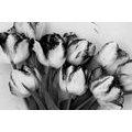 CANVAS PRINT SPRING TULIPS IN BLACK AND WHITE - BLACK AND WHITE PICTURES - PICTURES