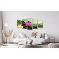 IMPRESSION SUR TOILE EN 5 PARTIES NATURE MORTE FENG SHUI - IMPRESSIONS SUR TOILE FENG SHUI - IMPRESSION SUR TOILE