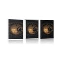 POSTER HARMONIC POWER OF BUDDHA - FENG SHUI - POSTERS