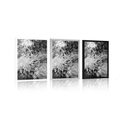 POSTER BLACK AND WHITE ABSTRACT ART - BLACK AND WHITE - POSTERS