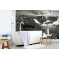 SELF ADHESIVE WALL MURAL MOUNTAIN PANORAMA IN BLACK AND WHITE - SELF-ADHESIVE WALLPAPERS - WALLPAPERS