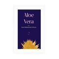 POSTER MIT PASSEPARTOUT MIT DER AUFSCHRIFT ALOE VERA - MOTIVE AUS UNSERER WERKSTATT - POSTER