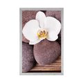 POSTER WELLNESS STONES AND AN ORCHID ON A WOODEN BACKGROUND - FENG SHUI - POSTERS