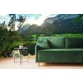 SELF ADHESIVE WALL MURAL LIFE IN THE MOUNTAINS - SELF-ADHESIVE WALLPAPERS - WALLPAPERS