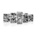 5-PIECE CANVAS PRINT FLOWERS IN BLACK AND WHITE - BLACK AND WHITE PICTURES - PICTURES