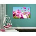 CANVAS PRINT MEADOW OF SPRING FLOWERS - PICTURES FLOWERS - PICTURES