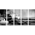 5-PIECE CANVAS PRINT FENG SHUI STILL LIFE IN BLACK AND WHITE - BLACK AND WHITE PICTURES - PICTURES