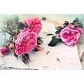 WALL MURAL ROSES IN BLOOM - WALLPAPERS VINTAGE AND RETRO - WALLPAPERS