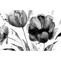 CANVAS PRINT BEAUTIFUL TULIPS IN AN INTERESTING DESIGN IN BLACK AND WHITE - BLACK AND WHITE PICTURES{% if product.category.pathNames[0] != product.category.name %} - PICTURES{% endif %}
