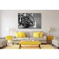 CANVAS PRINT BENGAL TIGER IN BLACK AND WHITE - BLACK AND WHITE PICTURES - PICTURES