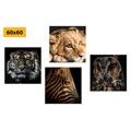 CANVAS PRINT SET WILD ANIMALS - SET OF PICTURES - PICTURES