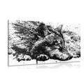 CANVAS PRINT WOLF IN WATERCOLOR DESIGN IN BLACK AND WHITE - PICTURES OF ANIMALS{% if product.category.pathNames[0] != product.category.name %} - PICTURES{% endif %}