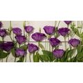 TABLOU FLORI VIOLETE FRUMOASE - TABLOU FLORI - TABLOURI