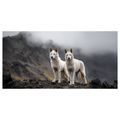 SLIKA ČUVARI DIVLJE PRIRODE - SLIKE PASA - SLIKE