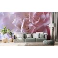 SELF ADHESIVE WALL MURAL CARNATION PETALS - SELF-ADHESIVE WALLPAPERS - WALLPAPERS