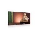 CANVAS PRINT MEDITATING BUDDHA - PICTURES FENG SHUI - PICTURES