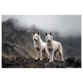 OBRAZ VLCI V MLHAVÝCH HORÁCH - OBRAZY PSI - OBRAZY