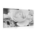 CANVAS PRINT FULL OF ROSES IN BLACK AND WHITE - BLACK AND WHITE PICTURES - PICTURES