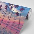 WALLPAPER SUNSET OVER TROPICAL PALM TREES - WALLPAPERS NATURE - WALLPAPERS