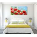 CANVAS PRINT RED POPPIES IN A FIELD - PICTURES FLOWERS - PICTURES