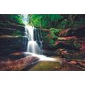 FOTOTAPETE WASSERFALL IM WALD - TAPETEN MIT NATURMOTIVEN - TAPETEN