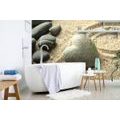 SELF ADHESIVE WALL MURAL ZEN STONE IN THE SHAPE OF A HEART - SELF-ADHESIVE WALLPAPERS - WALLPAPERS