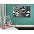 CANVAS PRINT POPPIES IN AN ETHNO TOUCH IN BLACK AND WHITE - BLACK AND WHITE PICTURES - PICTURES