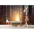 SELF ADHESIVE WALL MURAL LIGHT IN THE FOREST - SELF-ADHESIVE WALLPAPERS - WALLPAPERS