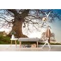FOTOTAPETA SYMBIÓZA STROMŮ - TAPETY PŘÍRODA - TAPETY