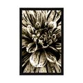 POSTER EXOTIC DAHLIA IN SEPIA DESIGN - BLACK AND WHITE - POSTERS