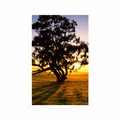 POSTER LONELY TREE AT SUNSET - NATURE - POSTERS