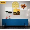 SET OBRAZŮ FENG SHUI KOMBINACE - SESTAVY OBRAZŮ - OBRAZY