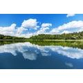 SELBSTKLEBENDE FOTOTAPETE NATUR IM SOMMER - SELBSTKLEBENDE TAPETEN - TAPETEN