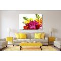 CANVAS PRINT BOUQUET OF COLORFUL FREESIAS - PICTURES FLOWERS - PICTURES