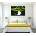 CANVAS PRINT STONES IN THE SHAPE OF YIN AND YANG - PICTURES FENG SHUI - PICTURES