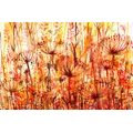 WALLPAPER DANDELION IN SHADES OF ORANGE - ABSTRACT WALLPAPERS - WALLPAPERS