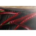 CANVAS PRINT PLATE WITH CHILI PEPPERS - PICTURES OF FOOD AND DRINKS - PICTURES