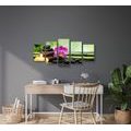 5-PIECE CANVAS PRINT FENG SHUI STILL LIFE - PICTURES FENG SHUI - PICTURES