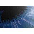 CANVAS PRINT BLUE GERBERA ON A DARK BACKGROUND - PICTURES FLOWERS{% if product.category.pathNames[0] != product.category.name %} - PICTURES{% endif %}