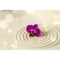 SELF ADHESIVE WALLPAPER SANDY ZEN GARDEN - SELF-ADHESIVE WALLPAPERS - WALLPAPERS