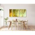 5-PIECE CANVAS PRINT INTERESTING GREEN ASYMMETRICAL TREES - PICTURES OF NATURE AND LANDSCAPE - PICTURES