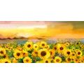 CANVAS PRINT SUNFLOWER FIELD - PICTURES FLOWERS - PICTURES