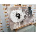 CANVAS PRINT MAGICAL DANDELION IN BLACK AND WHITE - BLACK AND WHITE PICTURES{% if product.category.pathNames[0] != product.category.name %} - PICTURES{% endif %}