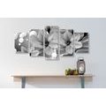 5-PIECE CANVAS PRINT BLACK AND WHITE MAGNOLIA ON AN ABSTRACT BACKGROUND - BLACK AND WHITE PICTURES - PICTURES