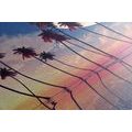 CANVAS PRINT SUNSET OVER TROPICAL PALM TREES - PICTURES OF NATURE AND LANDSCAPE{% if product.category.pathNames[0] != product.category.name %} - PICTURES{% endif %}