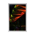 AFFICHE FEUILLES DE PALMIERS TROPICAUX - NATURE - AFFICHES