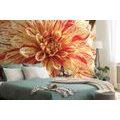 WALL MURAL EXOTIC DAHLIA - WALLPAPERS FLOWERS - WALLPAPERS